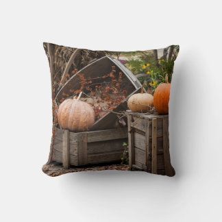 North Carolina, Linville, autumn pumpkins Cushion