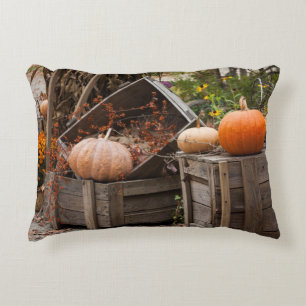 North Carolina, Linville, autumn pumpkins Decorative Cushion