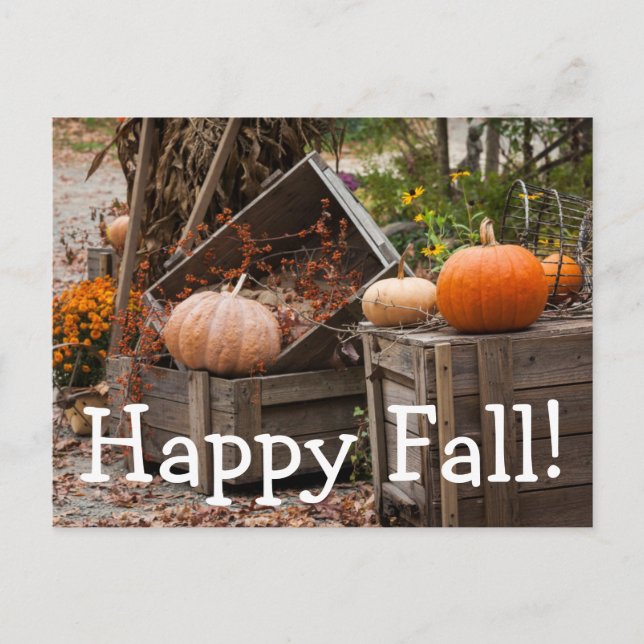 North Carolina, Linville, autumn pumpkins Postcard (Front)