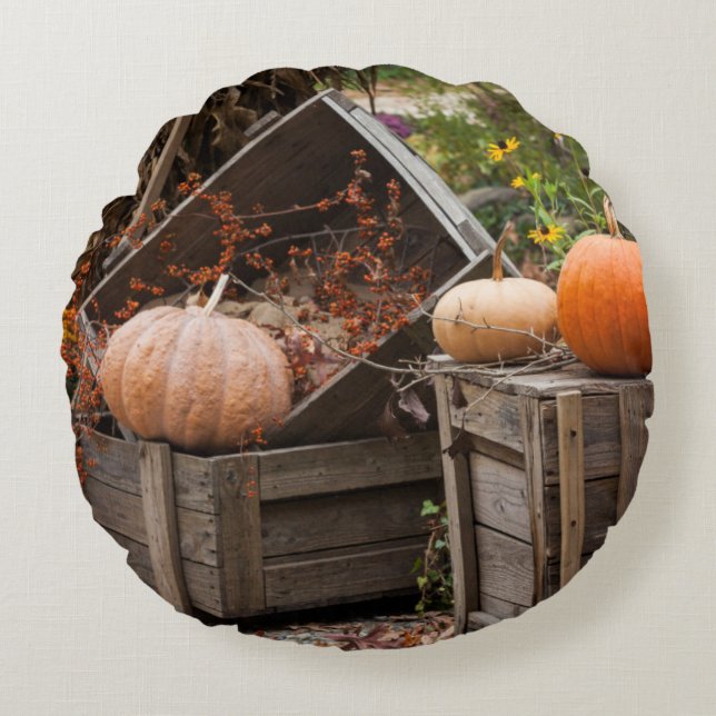 North Carolina, Linville, autumn pumpkins Round Cushion (Front)