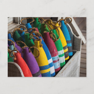 North Carolina, Outer Banks National Seashore 5 Postcard