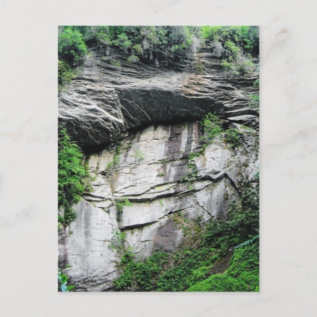 North Carolina Postcard (Front)