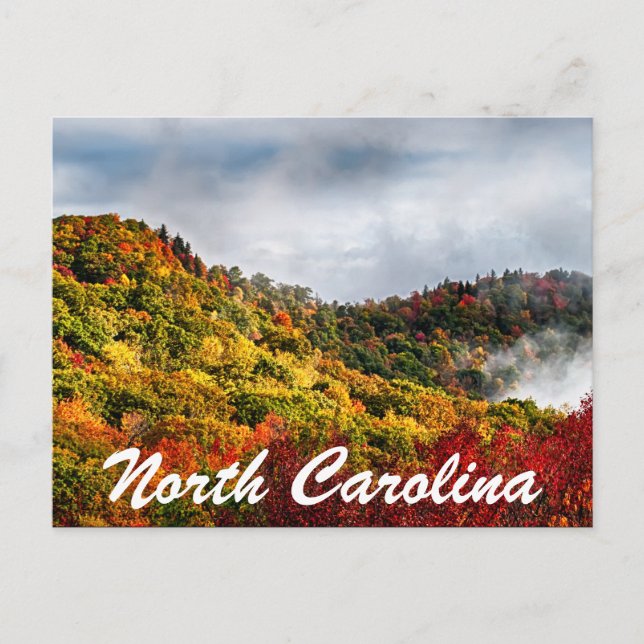 north carolina postcard (Front)