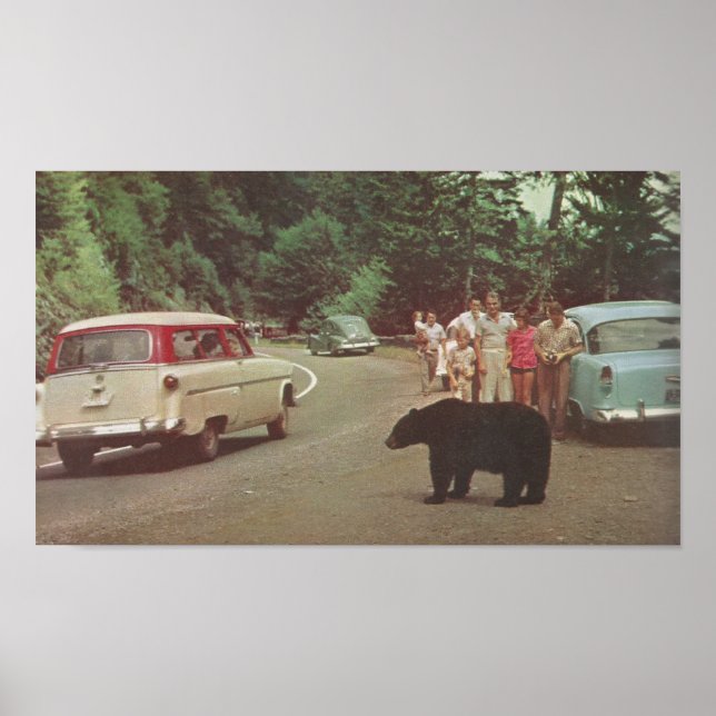 North Carolina Smoky Mountains Poster (Front)