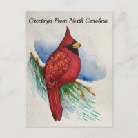 North Carolina State Bird Cardinal Water-colour