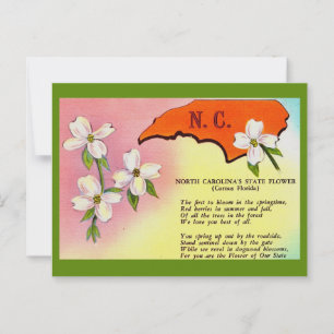 North Carolina State Flower Postcard