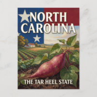 North Carolina State Pride Scenic Landscape 🏞️