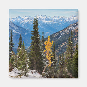 North Cascade Mountains Wenatchee National Forest Magnet