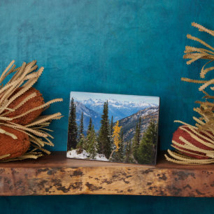 North Cascade Mountains Wenatchee National Forest Plaque