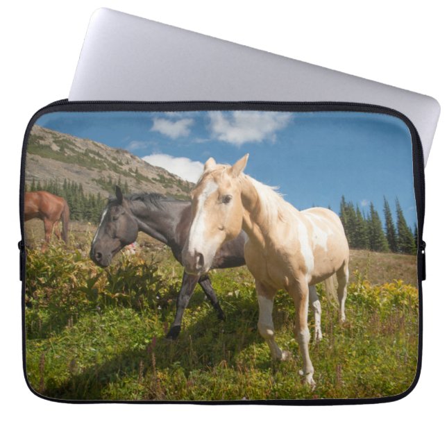 North Cascades National Park Laptop Sleeve (Front)