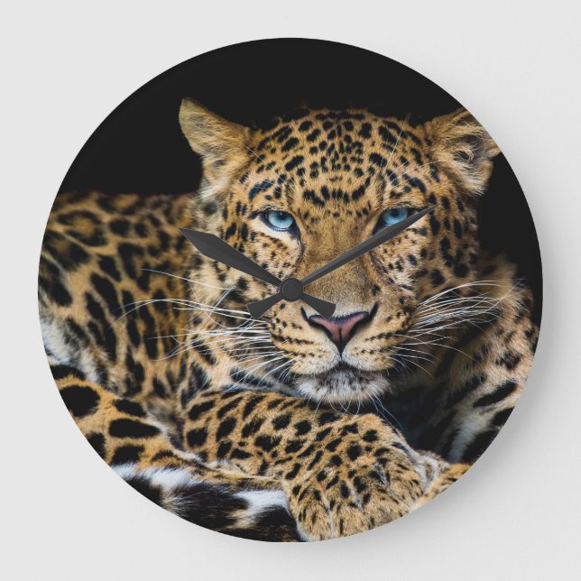 North China Leopard Zoo Illustration Large Clock (Front)