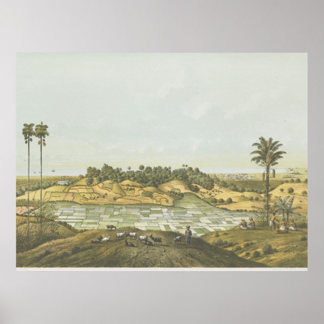 North coast near Semarang Poster (Front)