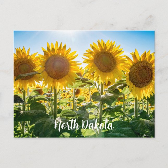North Dakota Postcard (Front)