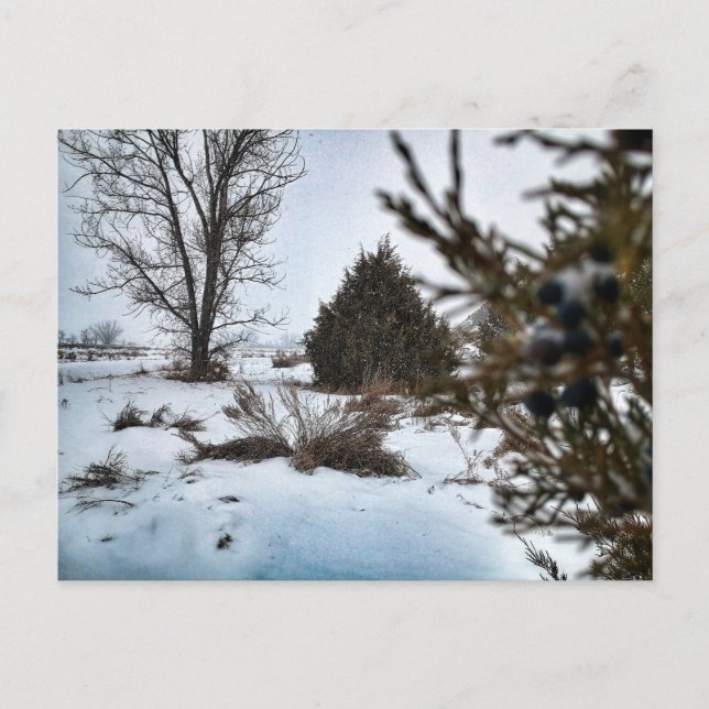 North Dakota Winter Snowstorm Postcard (Front)