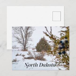 North Dakota Winter Snowstorm Postcard