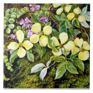 North - Flowers of a Dogwood and an Indigo Ceramic Tile