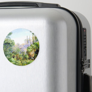 North - Forest Scene in West Australia, vintage Magnet