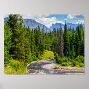North Fork Shoshone River Poster