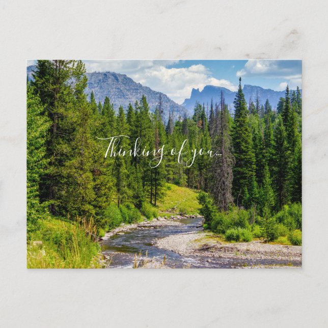 North Fork Shoshone River Thinking Of You Postcard (Front)