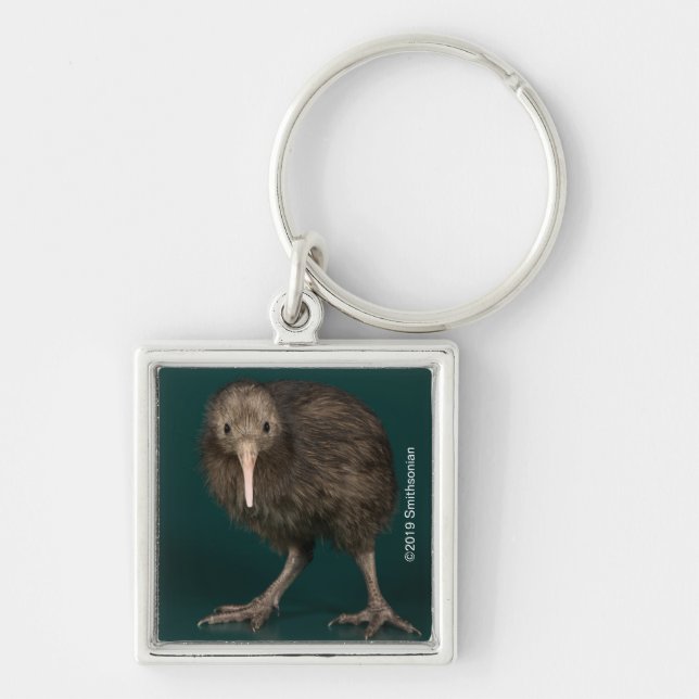 North Island Brown Kiwi Key Ring (Front)