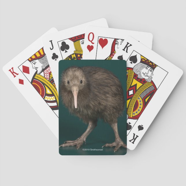 North Island Brown Kiwi Playing Cards (Back)
