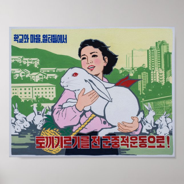 North Korean Propaganda Poster - Red Eye Bunny (Front)
