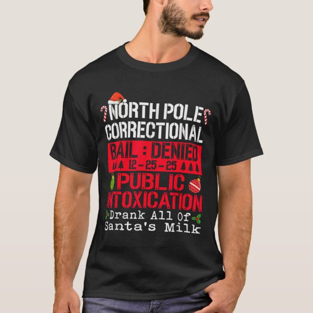 North Le Public Intoxication Drank All Of Santa's  T-Shirt (Front)