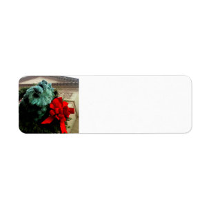 North Lion at the Art Institute of Chicago Return Address Label