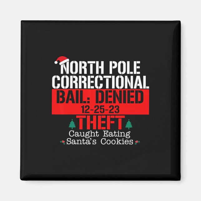 North Pole Correctional Bail Denied Theft Caught E Magnet (Front)
