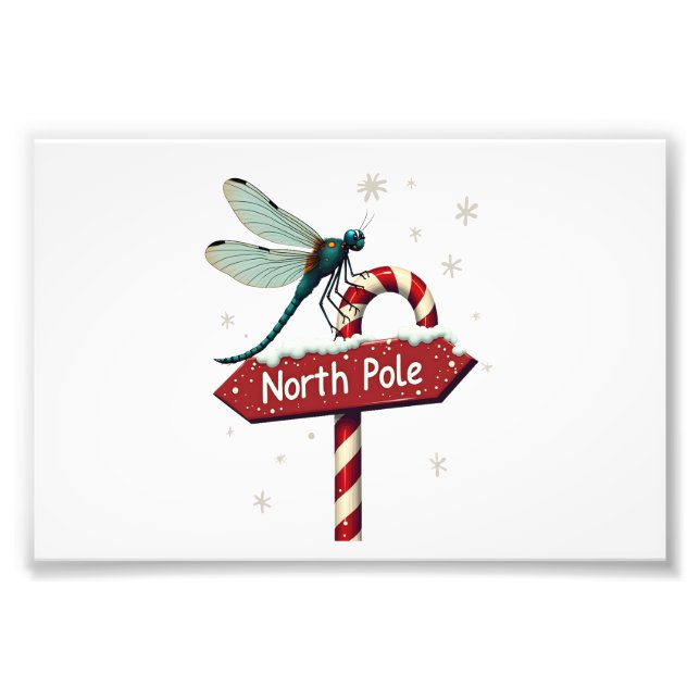 North Pole Dragonfly Photo Print (Front)