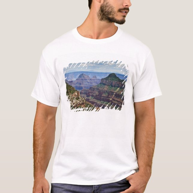 North Rim Gran Canyon - Grand Canyon National T-Shirt (Front)