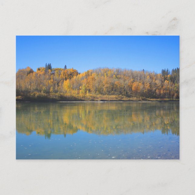 North Saskatchewan River - Autumn Postcard (Front)