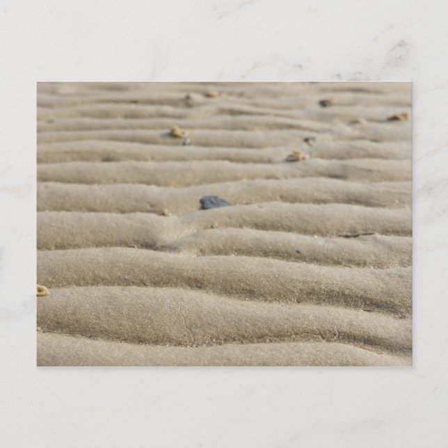 North Sea sand postcard (Front)