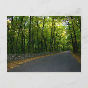 North Shore Drive Postcard