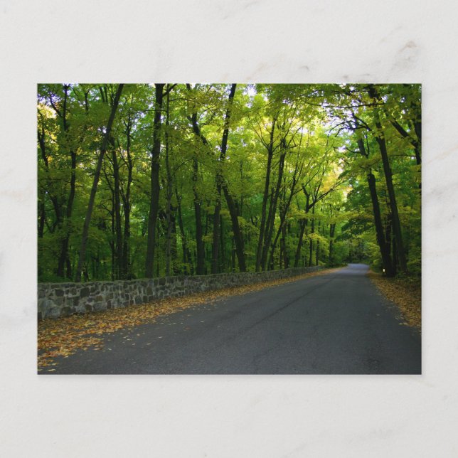 North Shore Drive Postcard (Front)