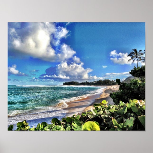 North Shore Poster (Front)