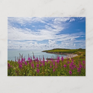 North Wales Coastline Postcard