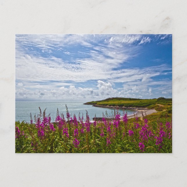 North Wales Coastline Postcard (Front)
