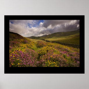 North Wales, near Cregannan Poster