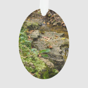 North Wears Creek Rock Bed Ornament
