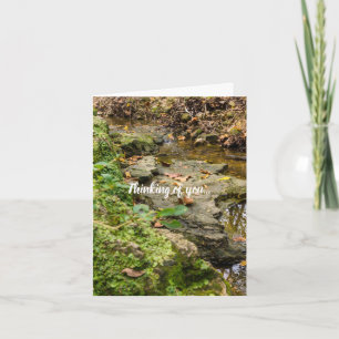 North Wears Creek Rock Bed Thanking Of You Card