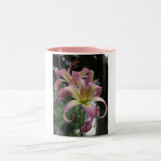 North Wind Dancer Two-Tone Coffee Mug