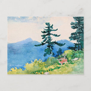 North Woods Club, Adirondacks, famous painting,  Postcard