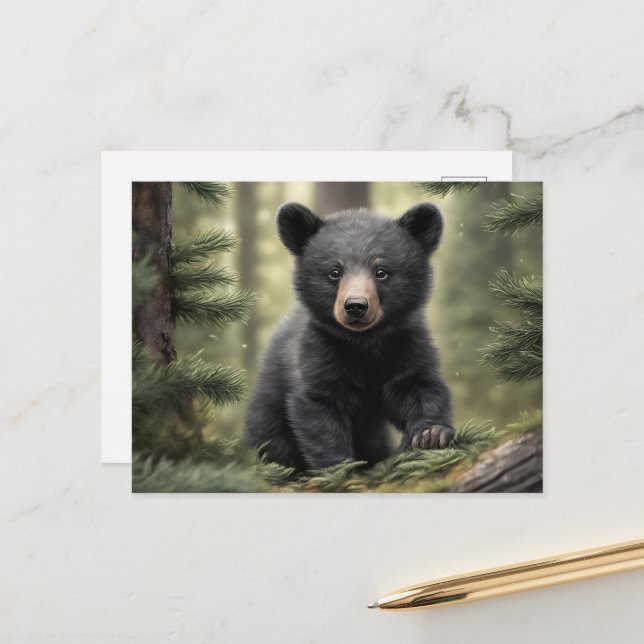 North Woods Little Black Bear Cub Postcard (Front/Back In Situ)