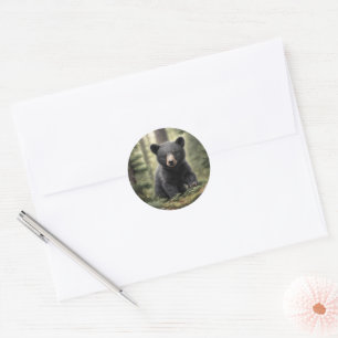 North Woods Little Black Bear Cub Sticker