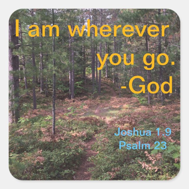 North woods trail in early fall square sticker (Front)