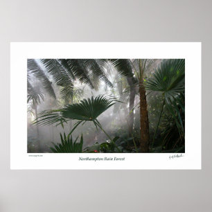 Northampton Rain Forest I Poster
