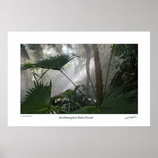 Northampton Rain Forest II Poster