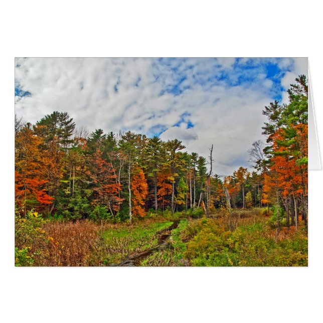 Northeast  Autumn (Front Horizontal)