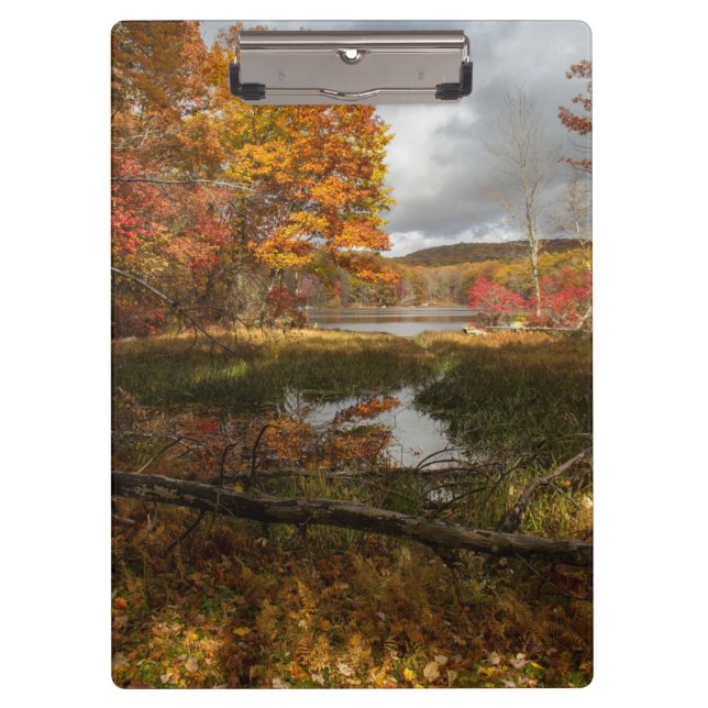 Northeast Autumn  Clipboard (Front)
